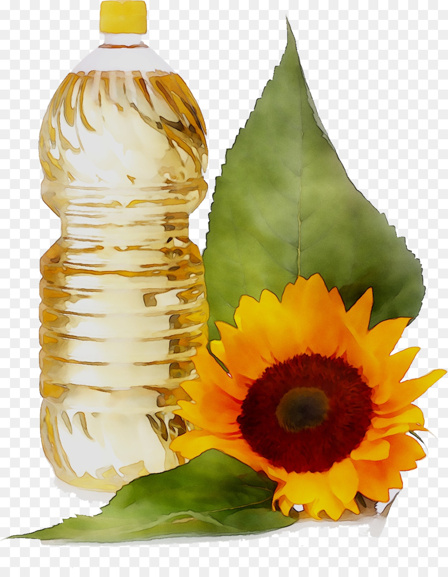 Común De Girasol，Aceite De Girasol PNG