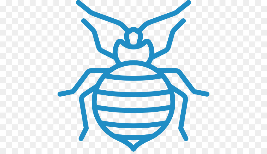 Insecto，Bicho PNG