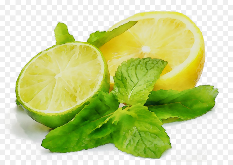 Limón Y Menta，Fresco PNG