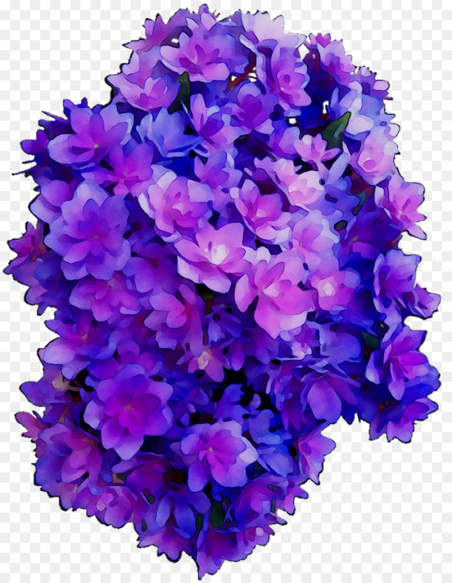 Flores，Púrpura PNG