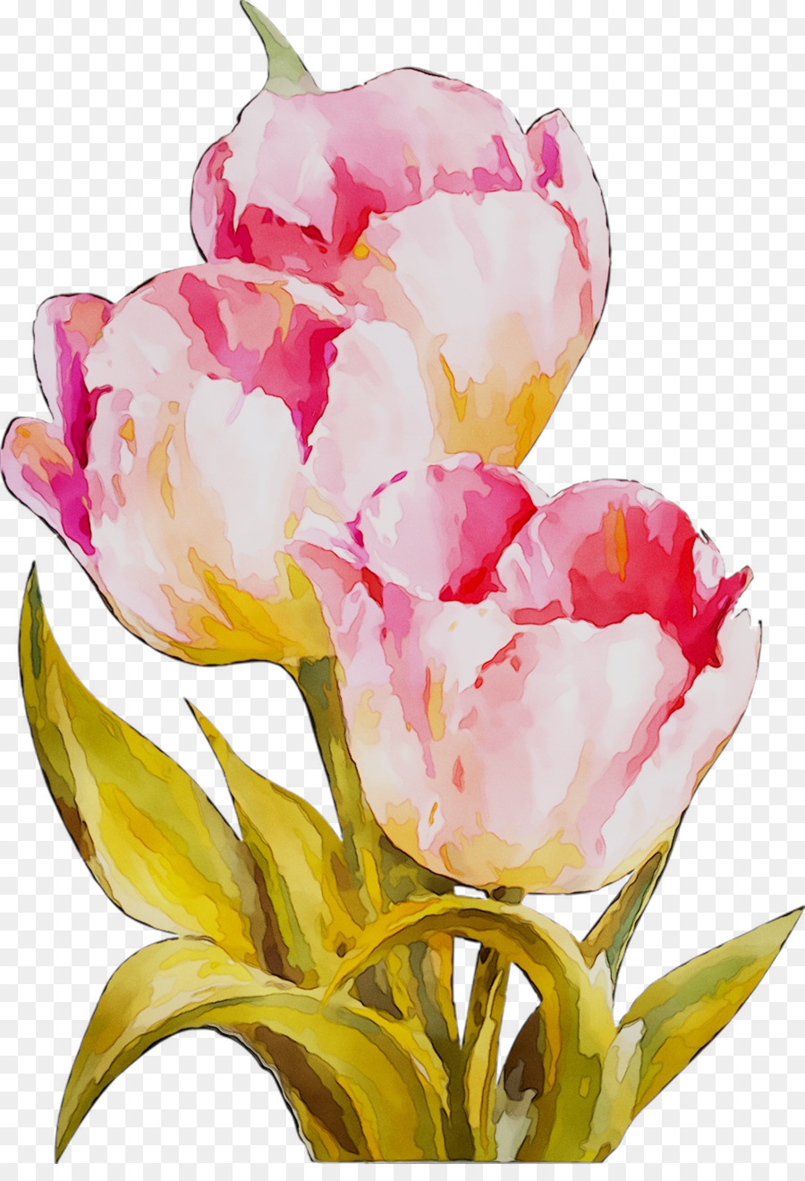 Tulip，Diseño Floral PNG