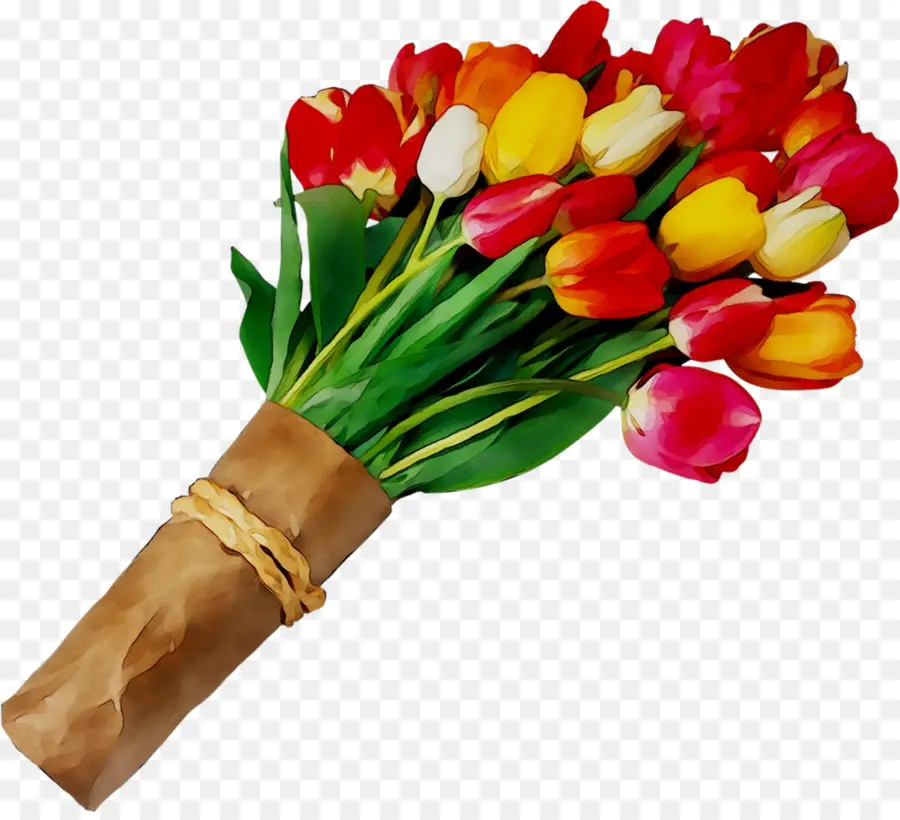 Ramo，Tulipanes PNG