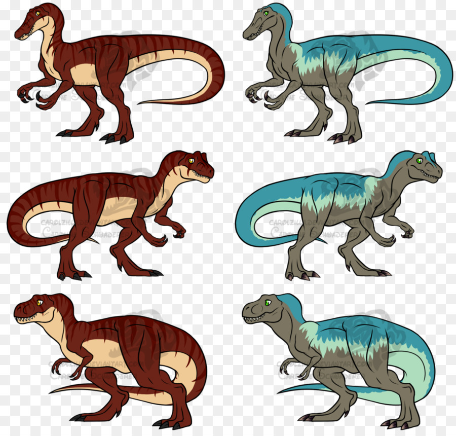 Tyrannosaurus，Velociraptor PNG