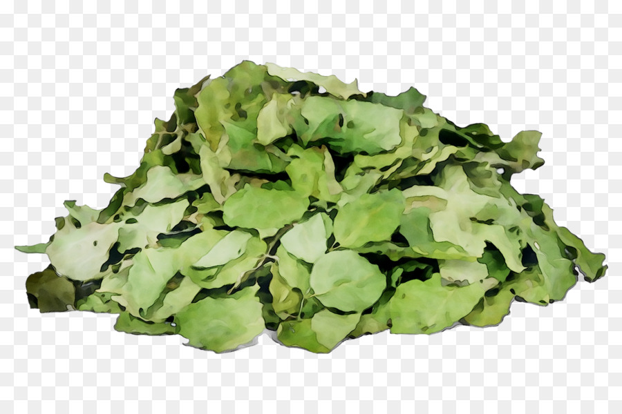 Brócoli，De Verduras De Primavera PNG