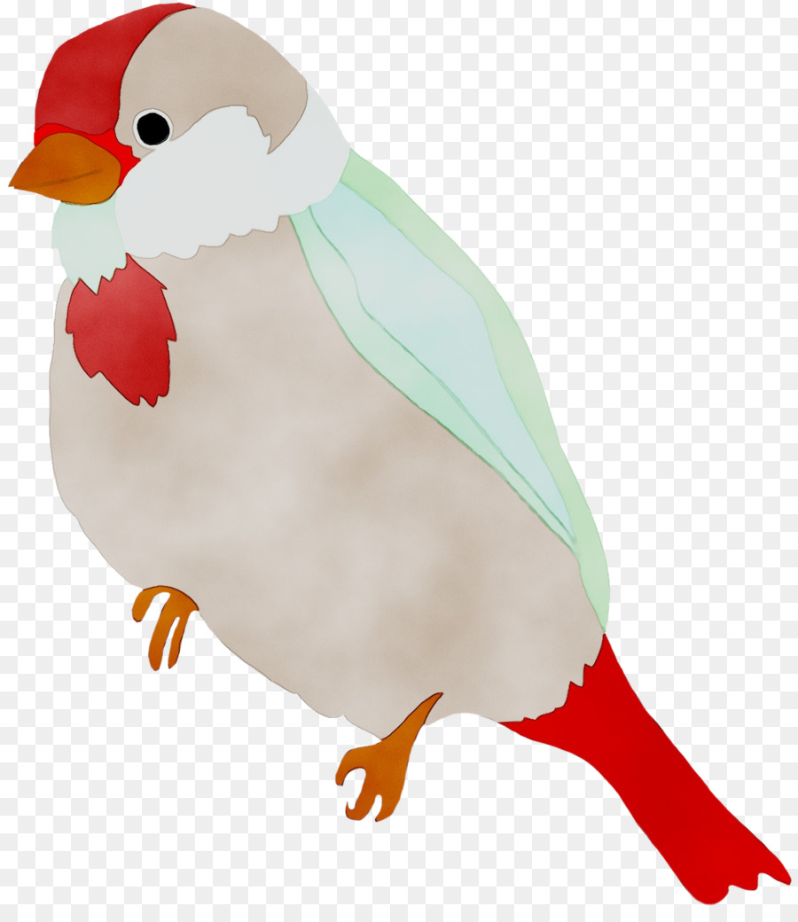 Pico，Pluma PNG