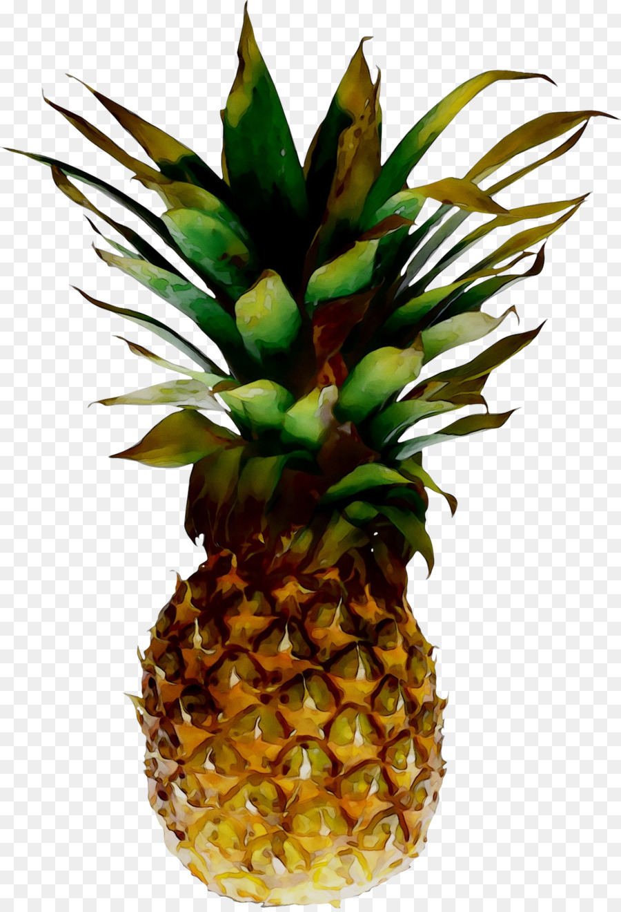 Piña Azul，Fruta PNG