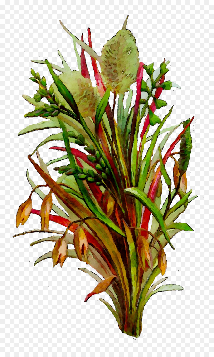 Diseño Floral，Las Flores Cortadas PNG