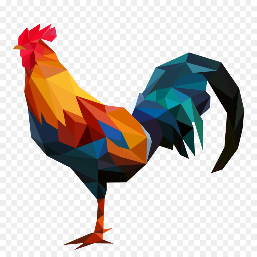 Pollo，Gallo PNG