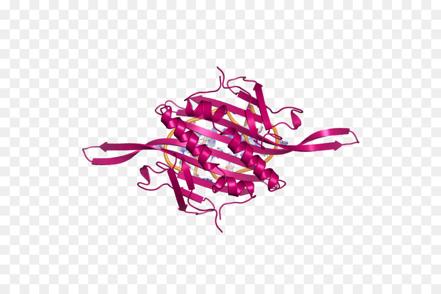 Bacteriófago，Bacteriófago Ms2 PNG