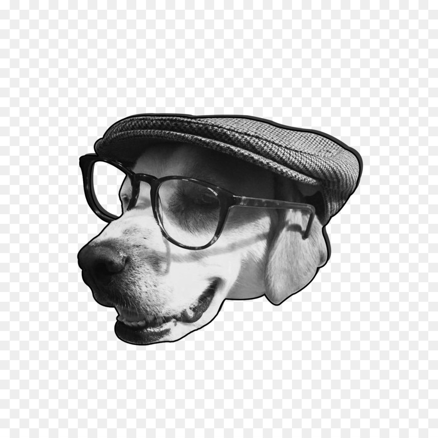 Gafas，Perro PNG