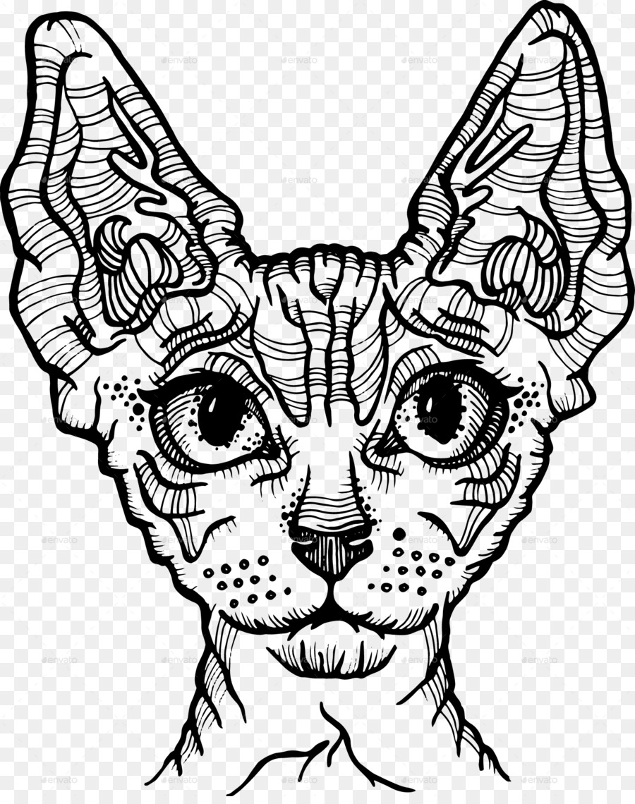 Gato Sphynx，Donskoy PNG