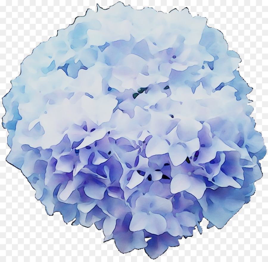 Hortensia，Las Flores Cortadas PNG