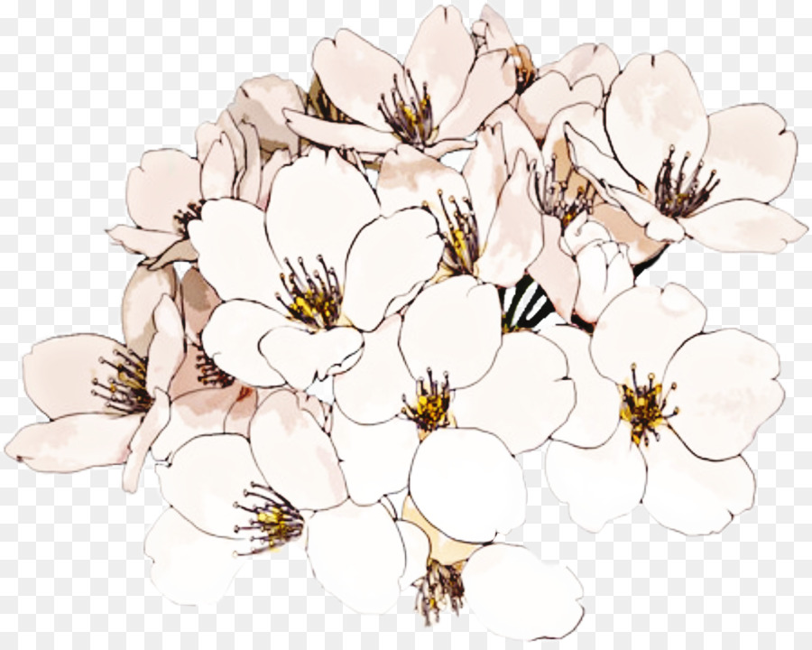 Flor，Dibujo PNG