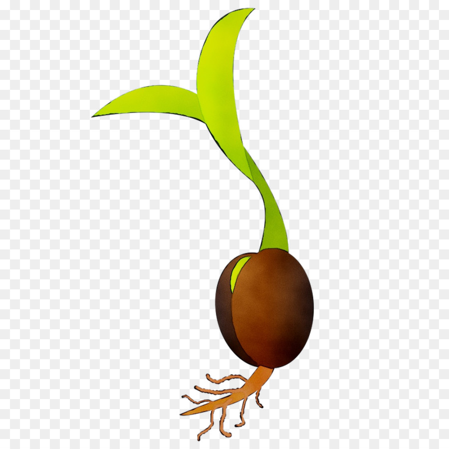 La Tierra，La Fruta PNG