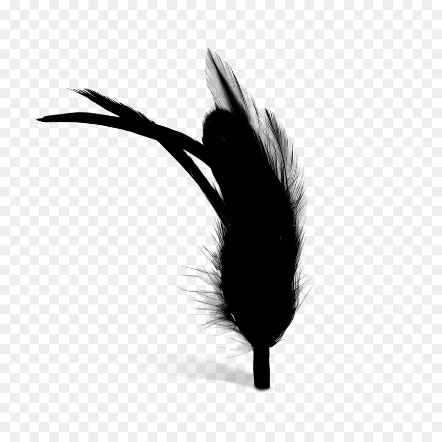 Pluma，Negro M PNG