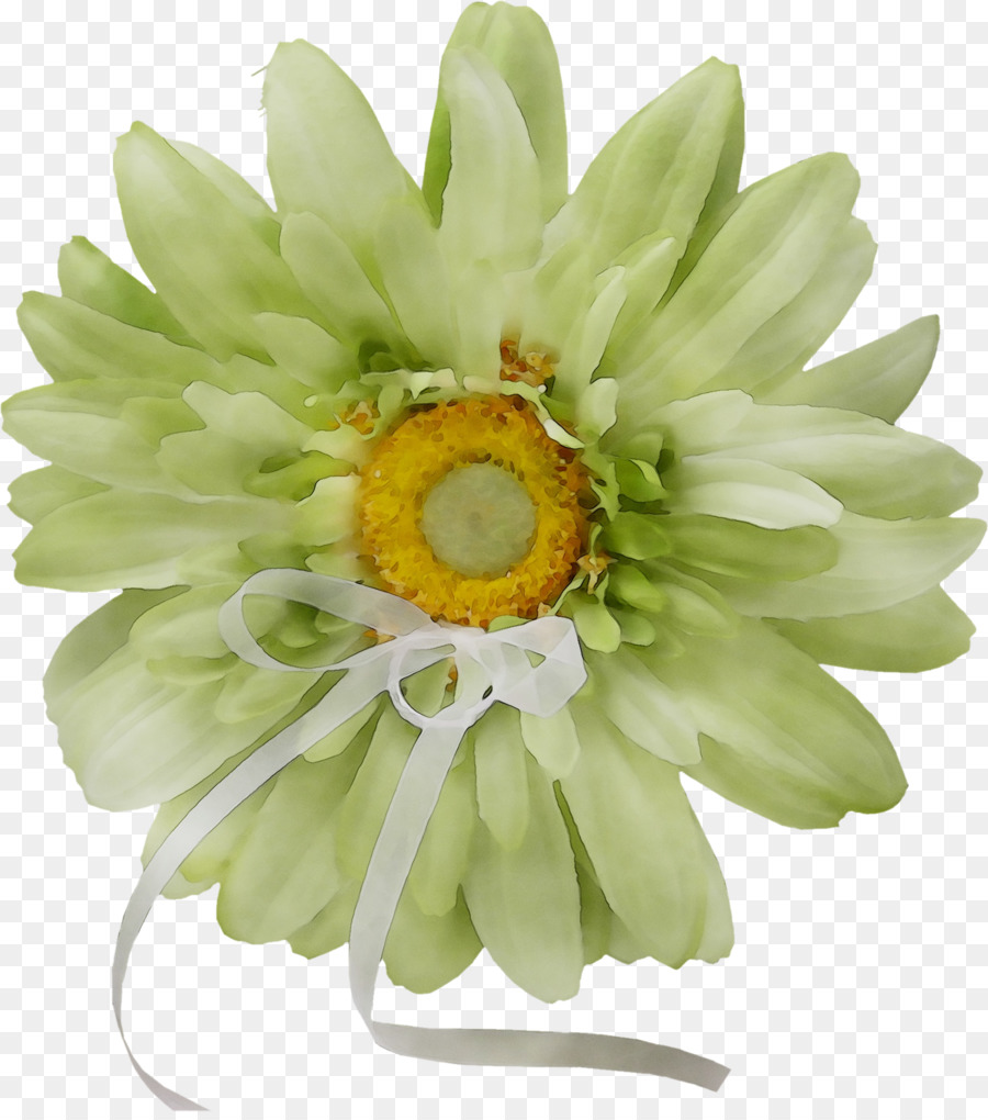 Flor Verde，Pétalos PNG