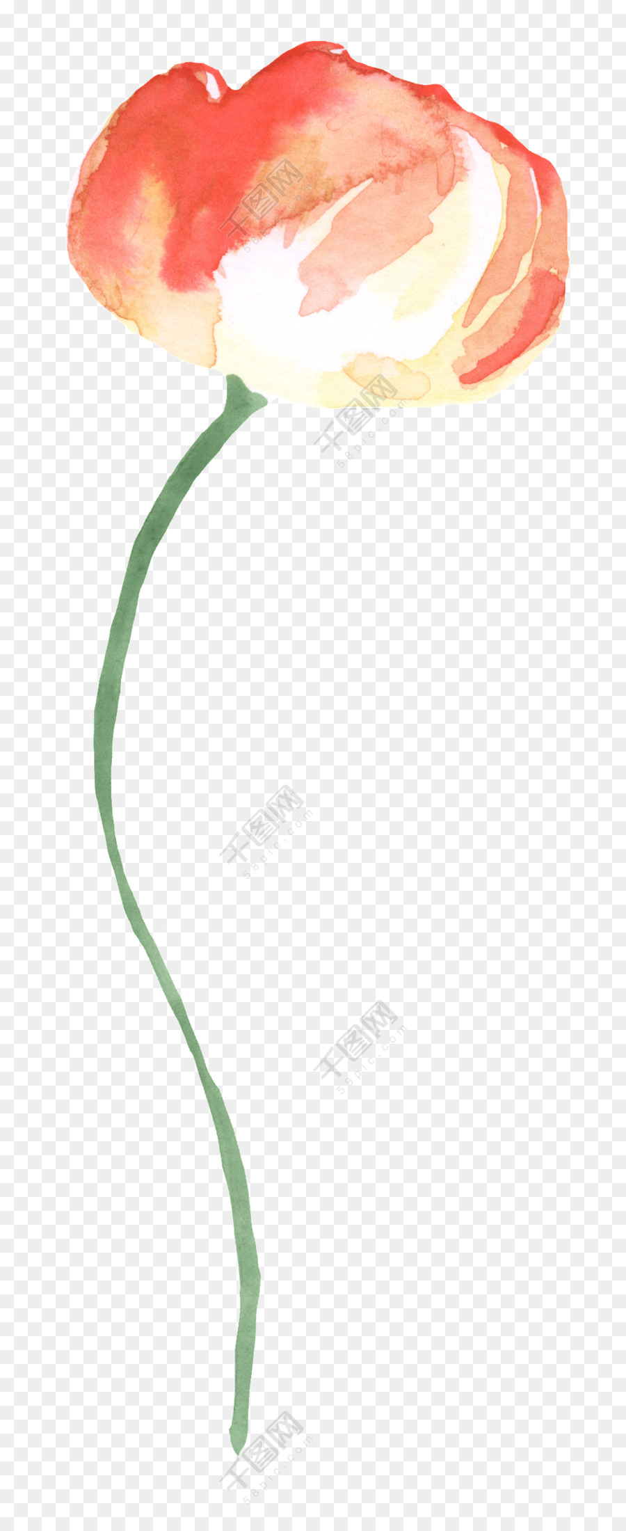 Tulip，M02csf PNG