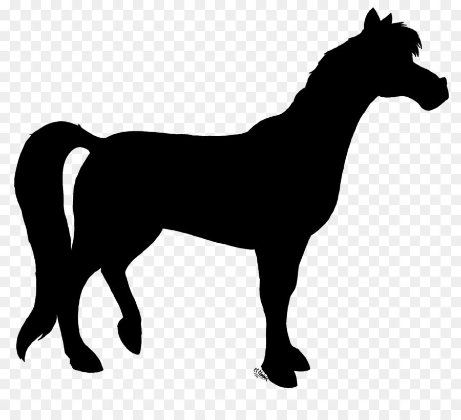 Caballo Negro，Caballo PNG