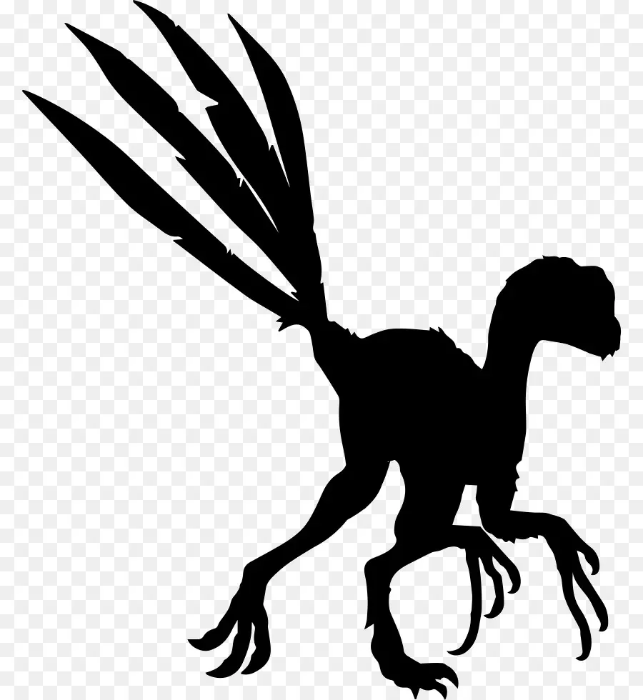 Epidexipteryx，Microraptor PNG