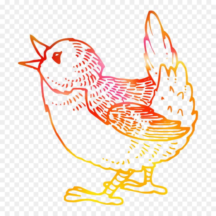 Pájaro，Plumas PNG