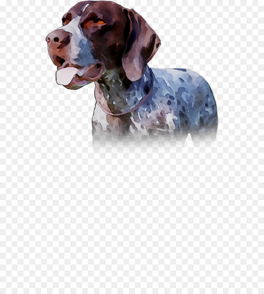 Raza De Perro，Perro PNG