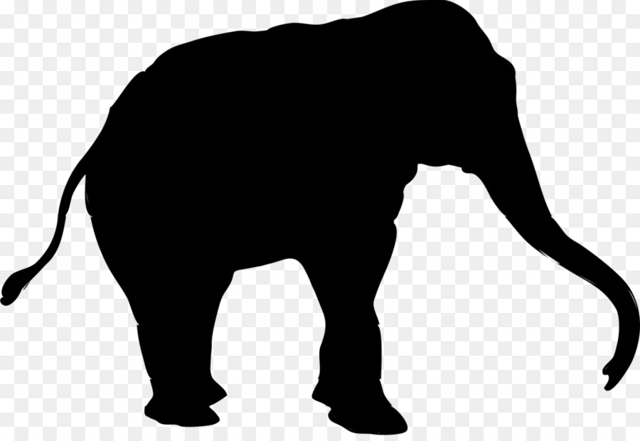 Elefante，Fauna PNG