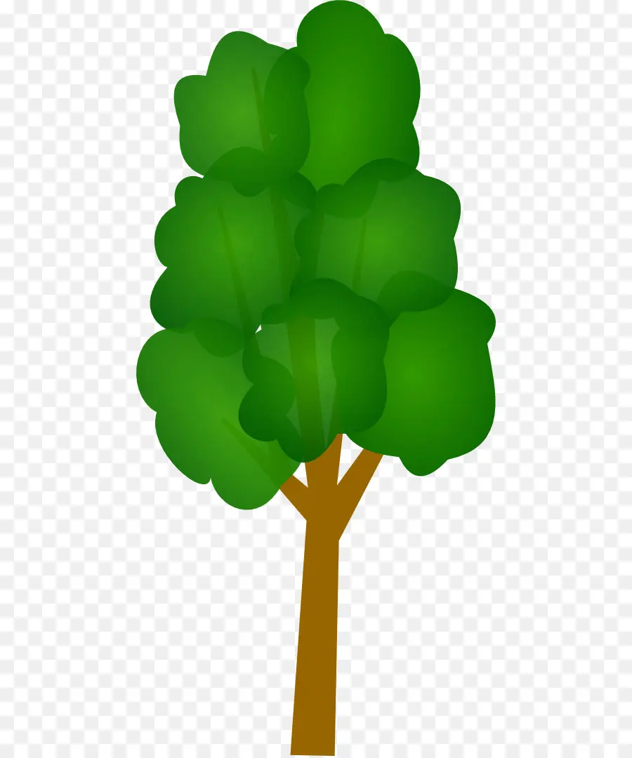 Árbol，Hojas Verdes PNG