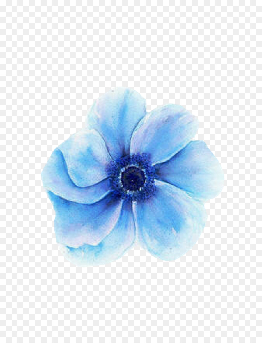 Flor Azul，Soltero PNG