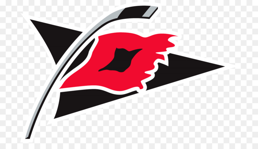 Carolina Hurricanes，La Liga Nacional De Hockey PNG