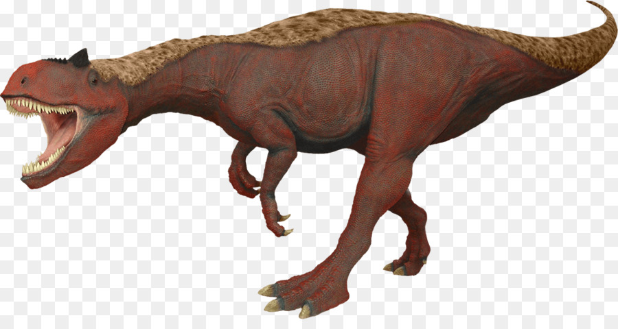 Allosaurus，Tyrannosaurus PNG