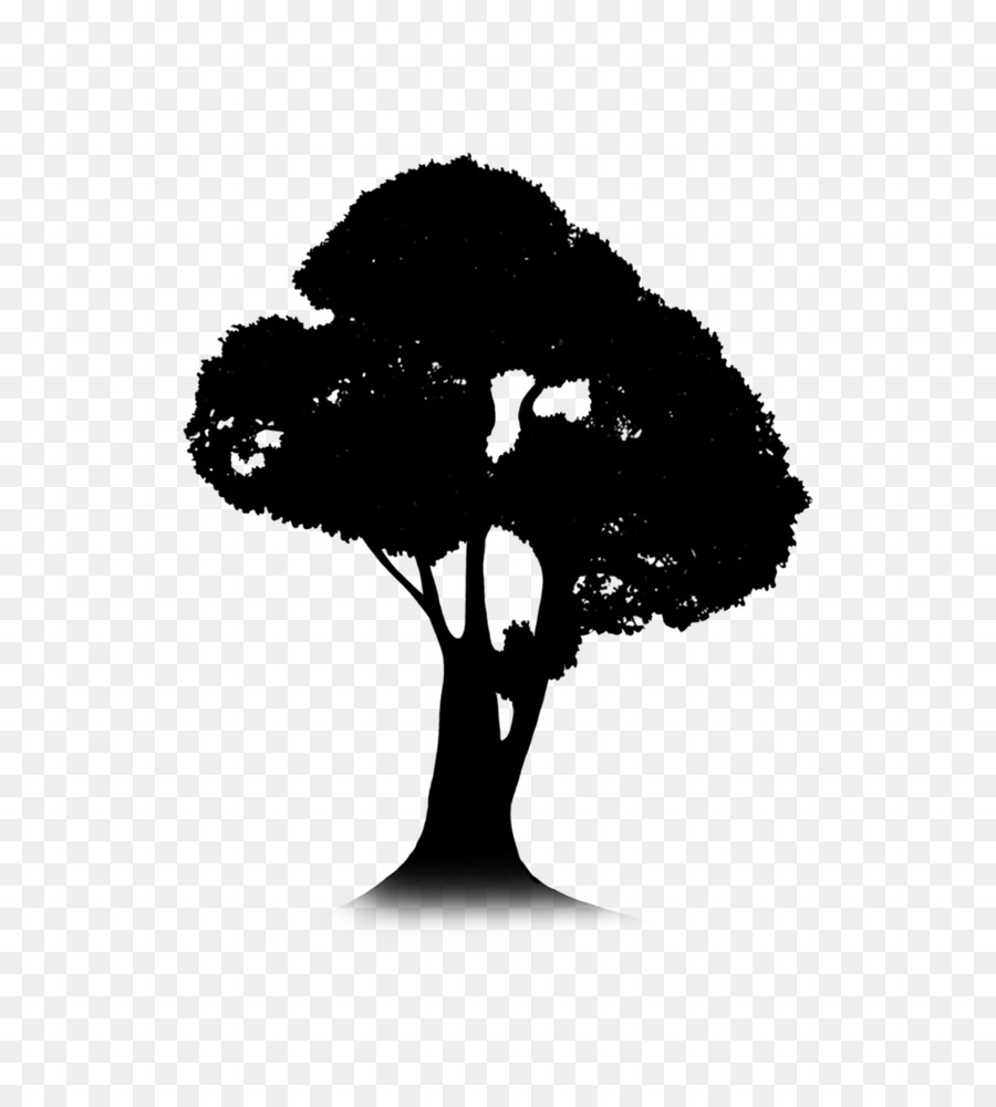 Árbol，Silueta PNG