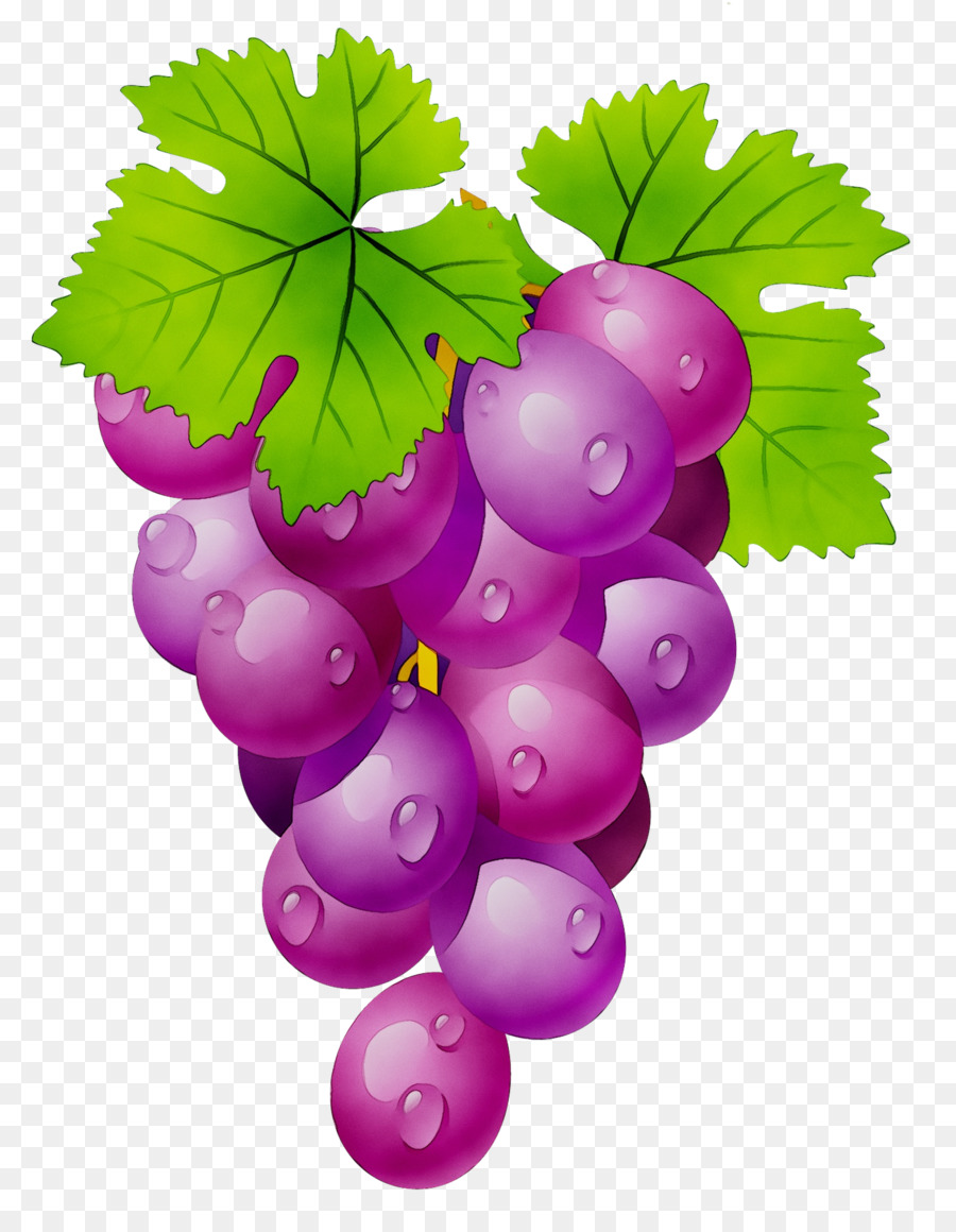 Uvas Moradas，Hojas PNG