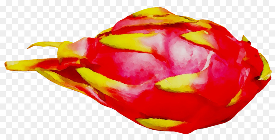 Vegetal，La Fruta PNG