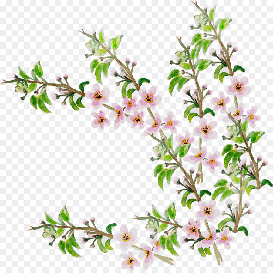 Bosquejo De Flores，Dibujo PNG