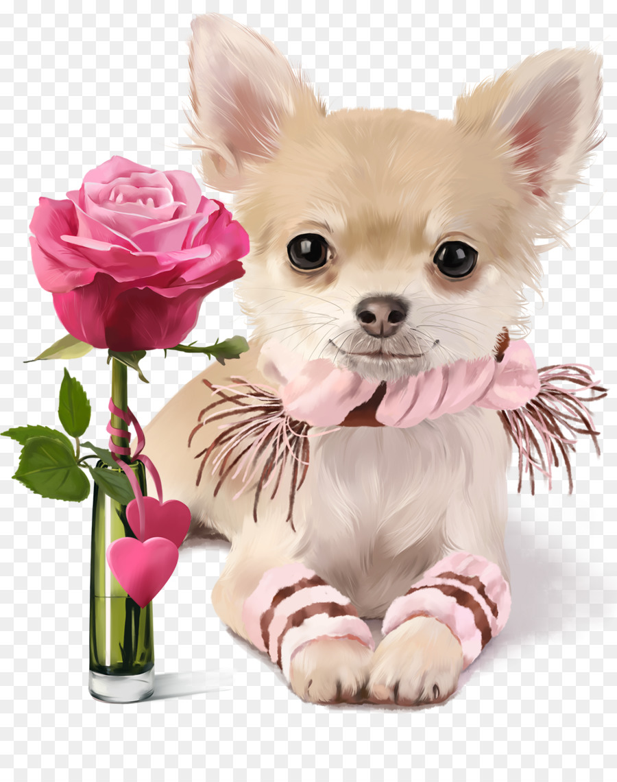 Chihuahua，Cachorro PNG