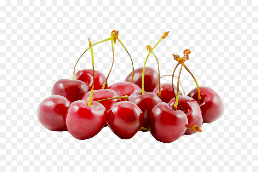 Frutos Rojos，Fresco PNG