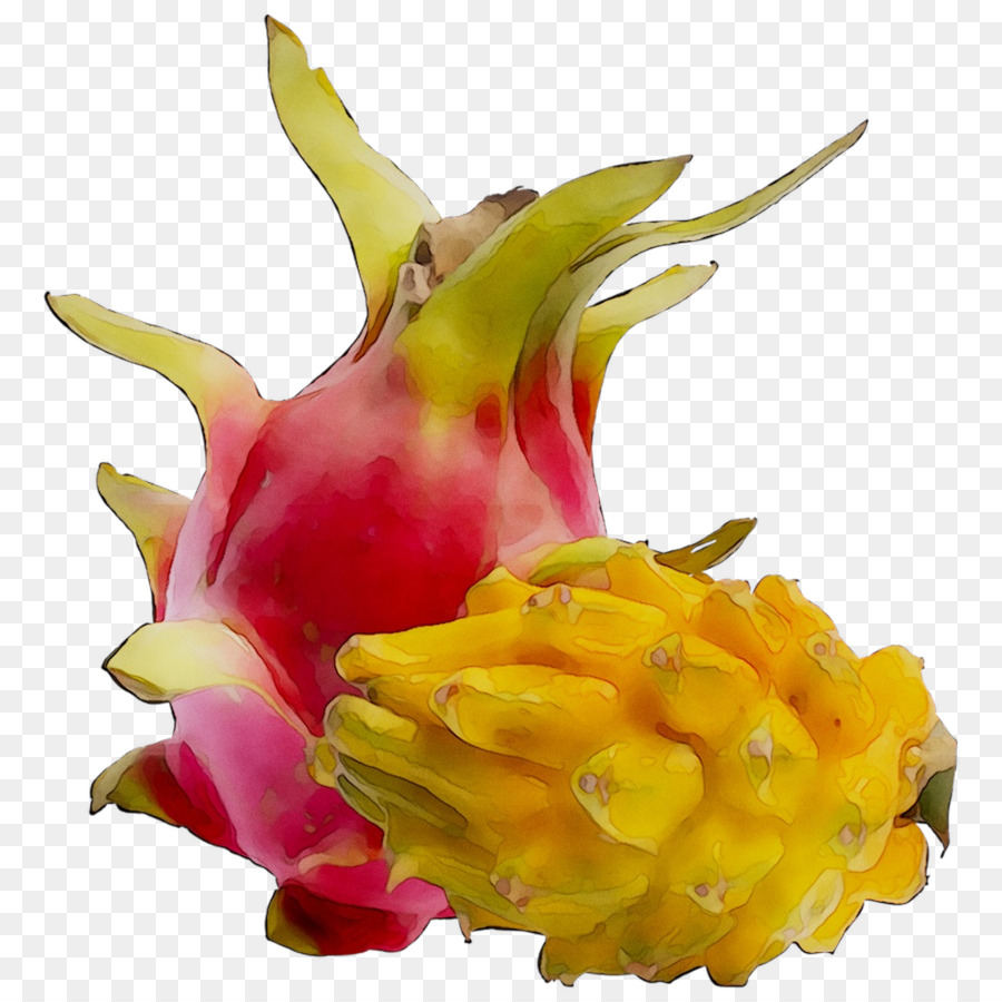 La Fruta，Vegetal PNG