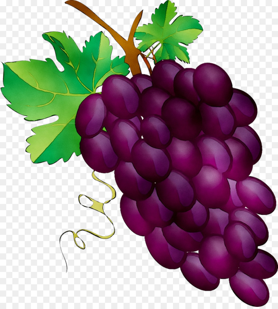 Uvas，Racimo PNG