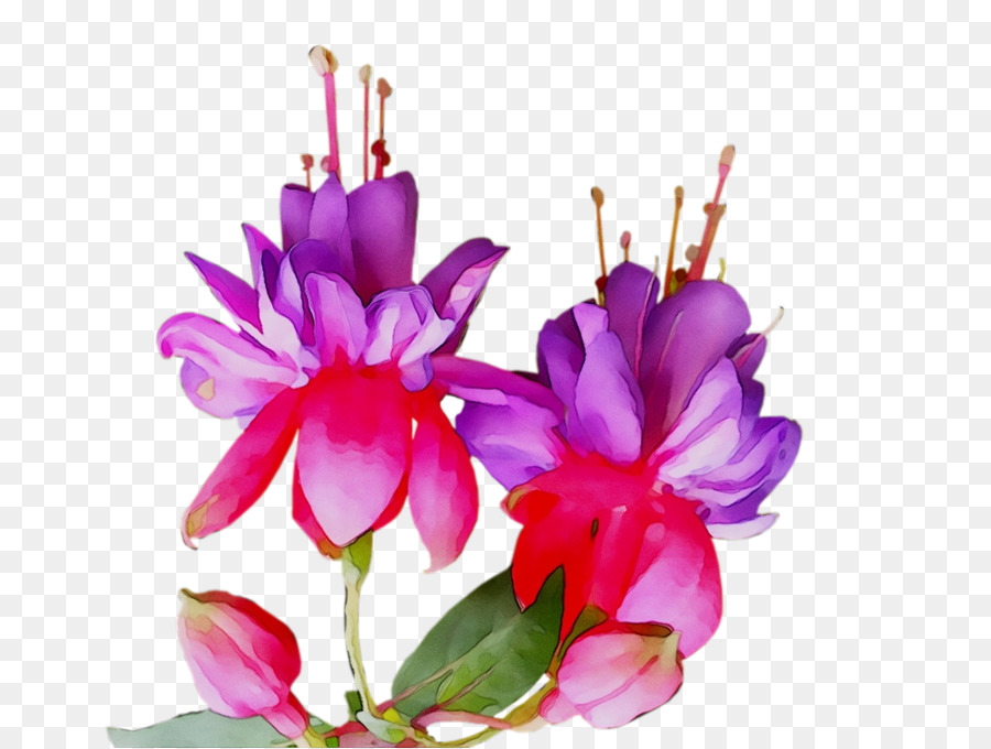 Diseño Floral，Las Flores Cortadas PNG