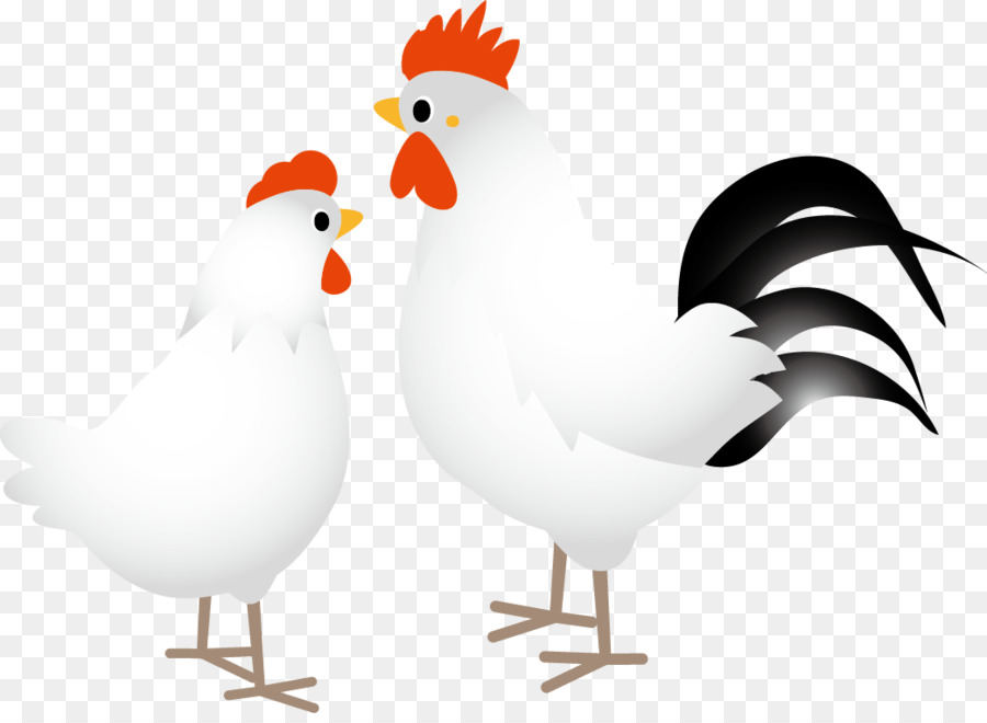 Gallo，Pollo PNG