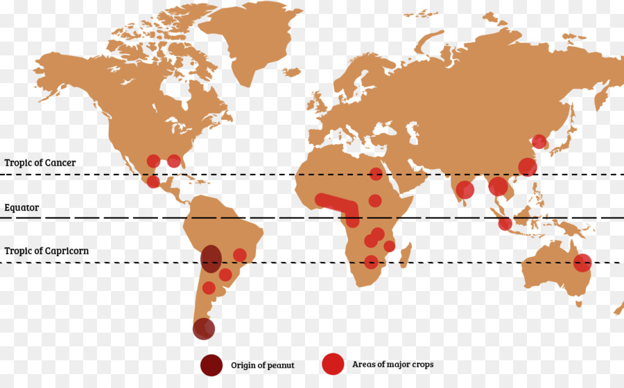 Mundo，Mapa Del Mundo PNG