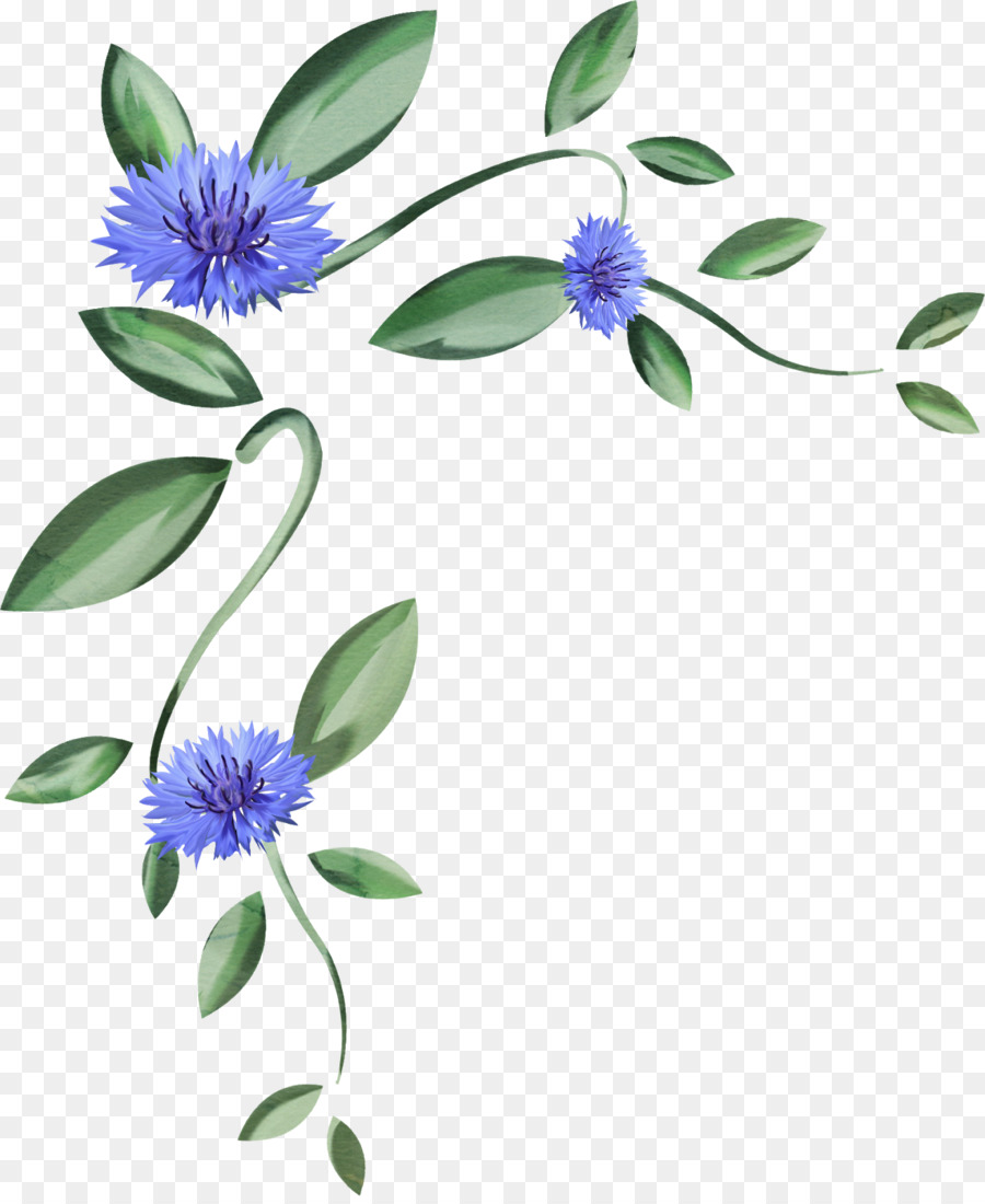 Diseño Floral，Tallo De La Planta PNG