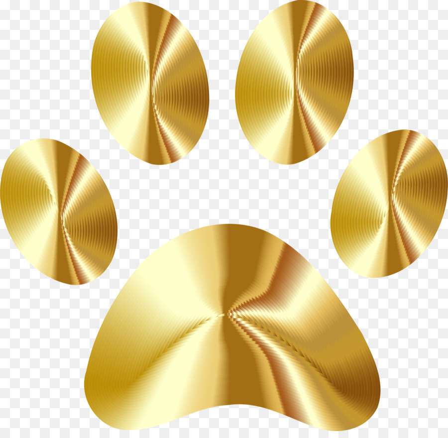 Perro，Felidae PNG