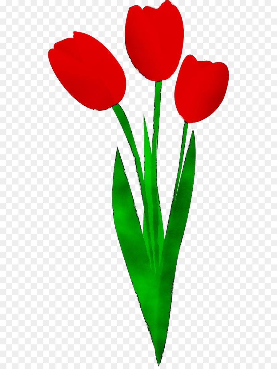 Flor，Rojo PNG