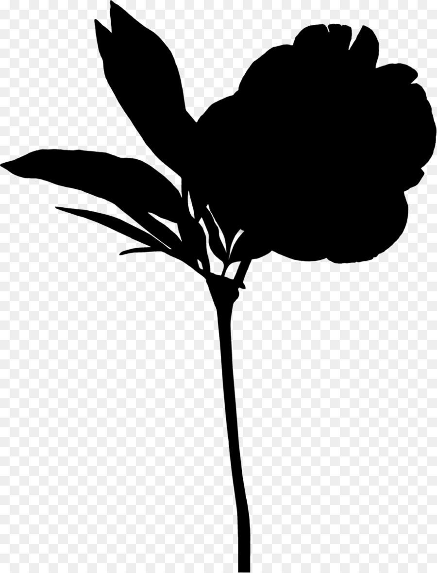 Silueta De Flor，Negro PNG