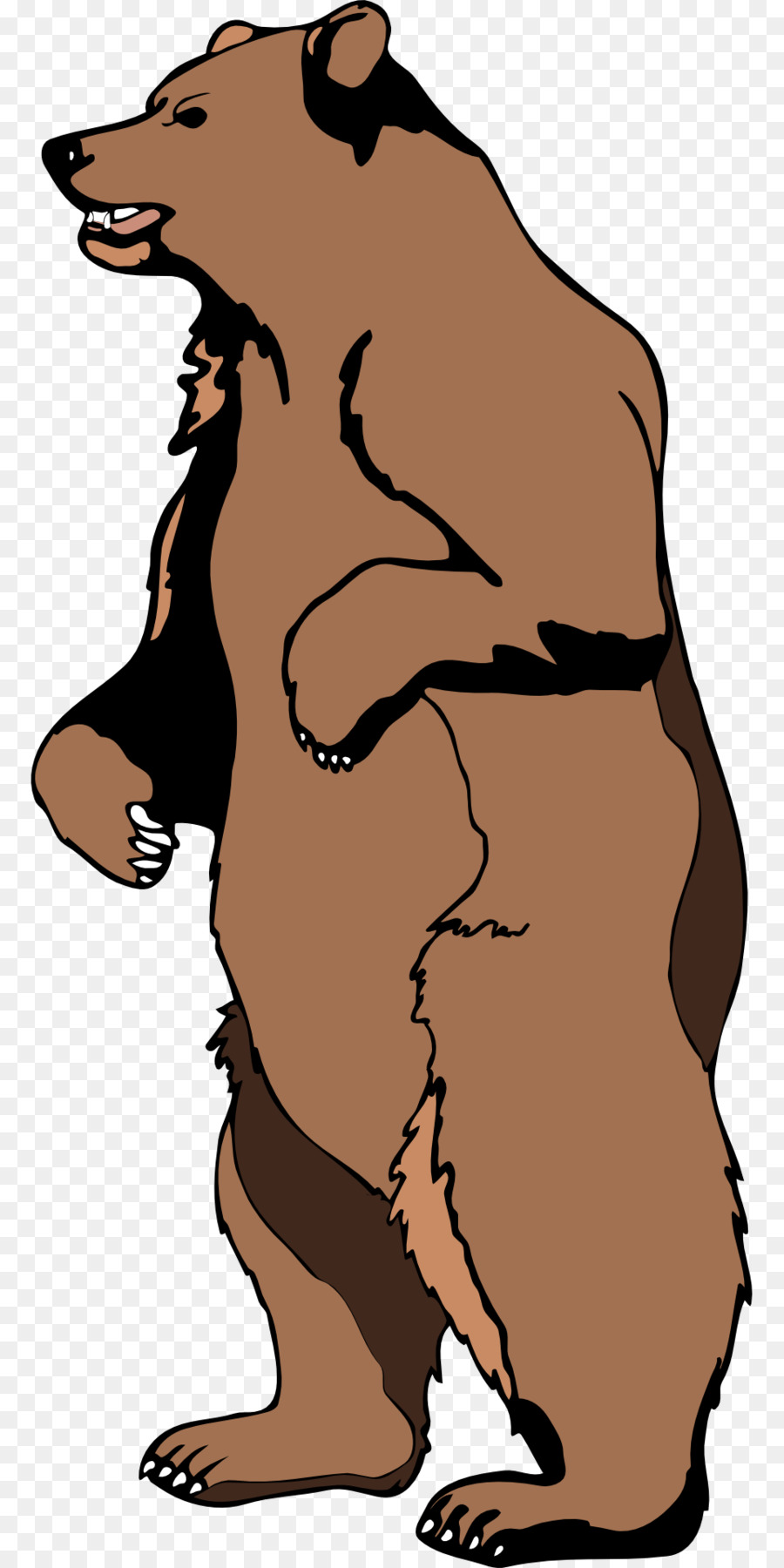 Oso，El Oso Negro Americano PNG