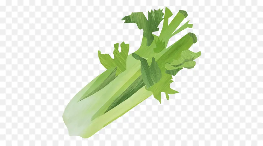 De Verduras De Primavera，Apio PNG