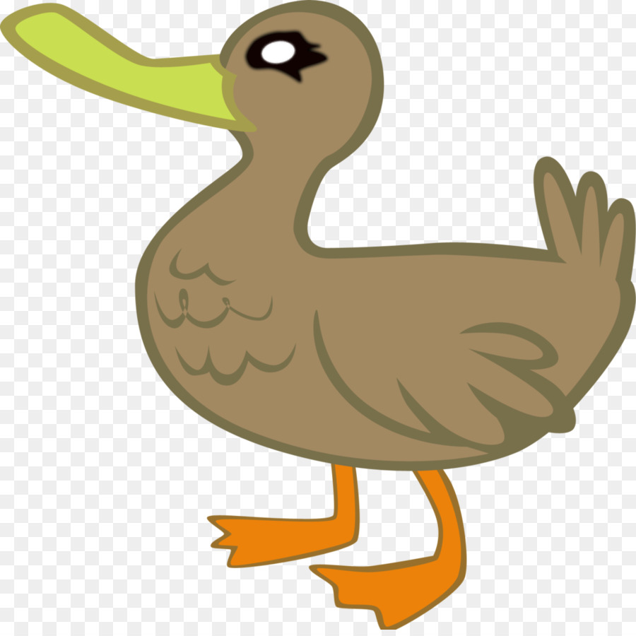 Pato，Los Patos Gansos Y Cisnes PNG