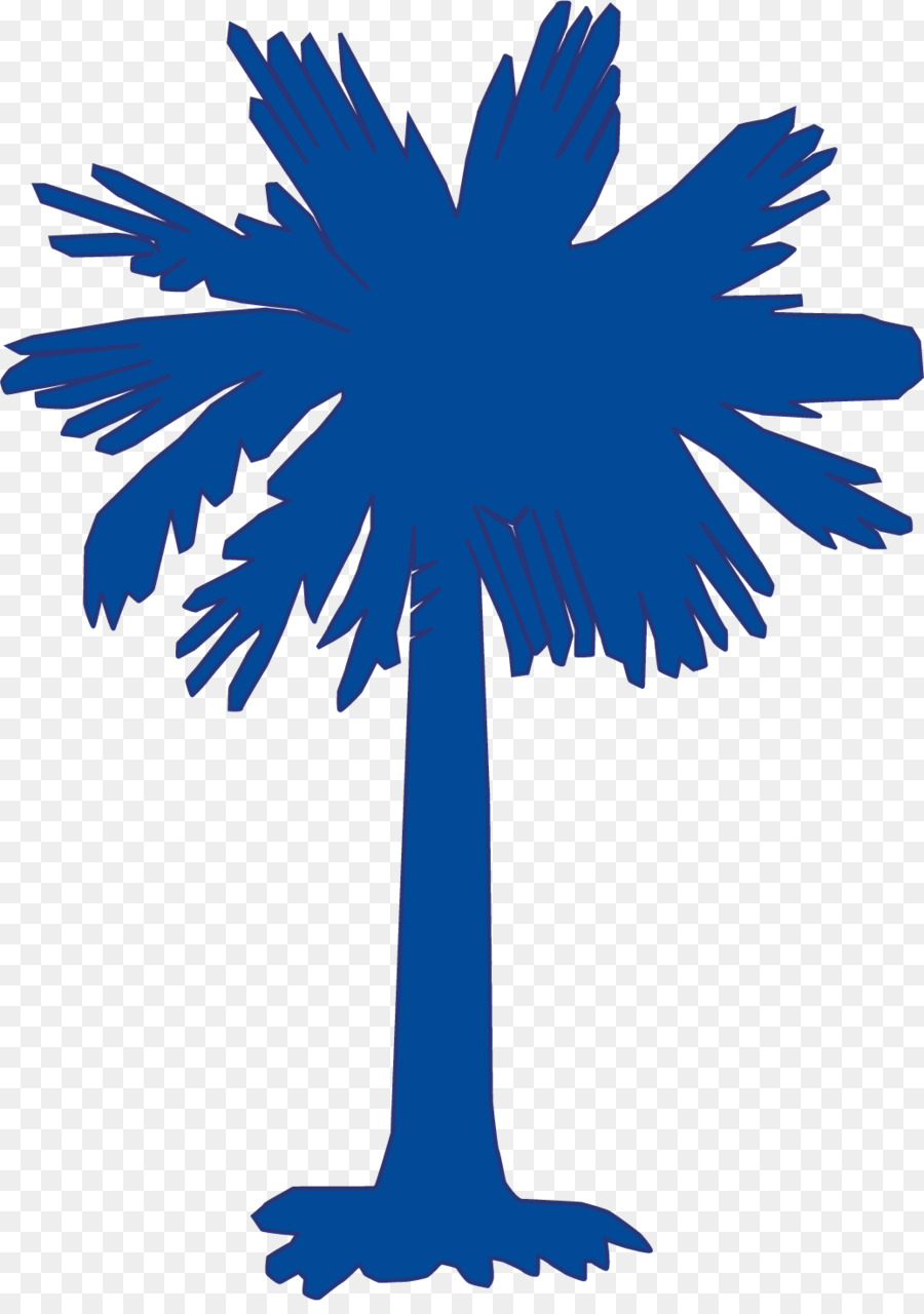 Carolina Del Sur，Sabal Palm PNG