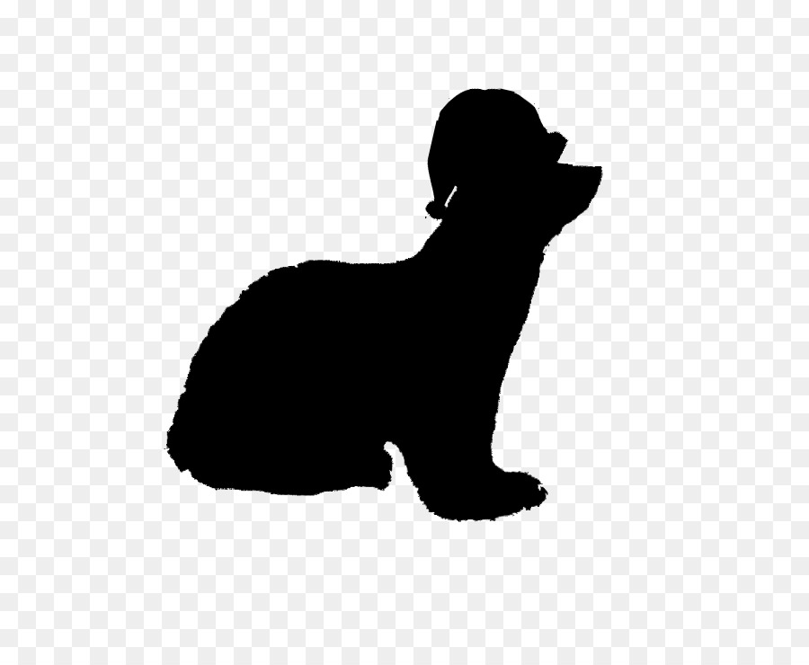 Bigotes，Cachorro PNG